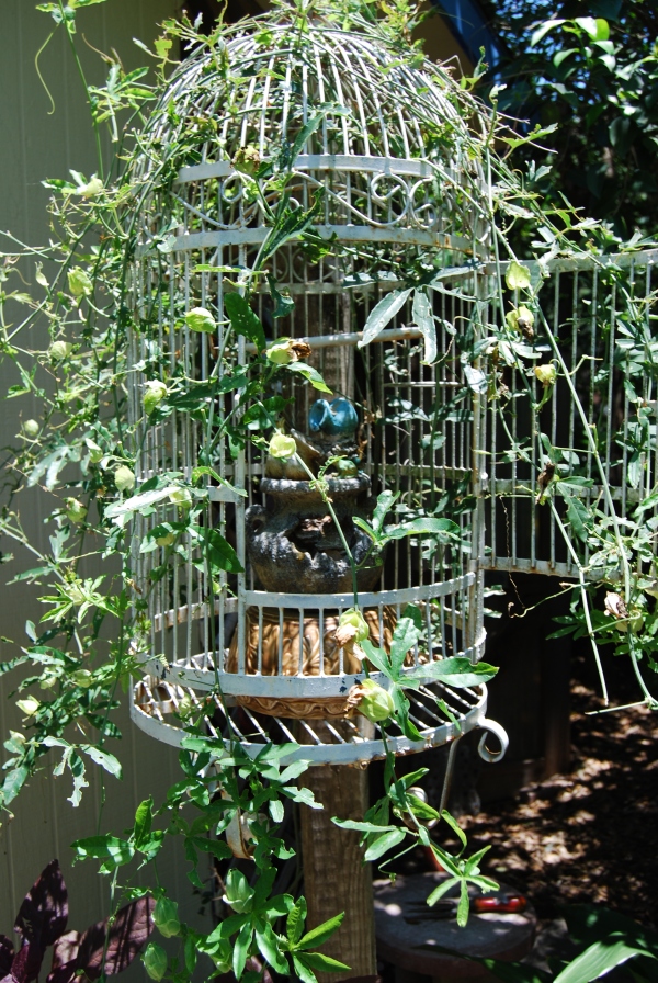 fairy birdcage